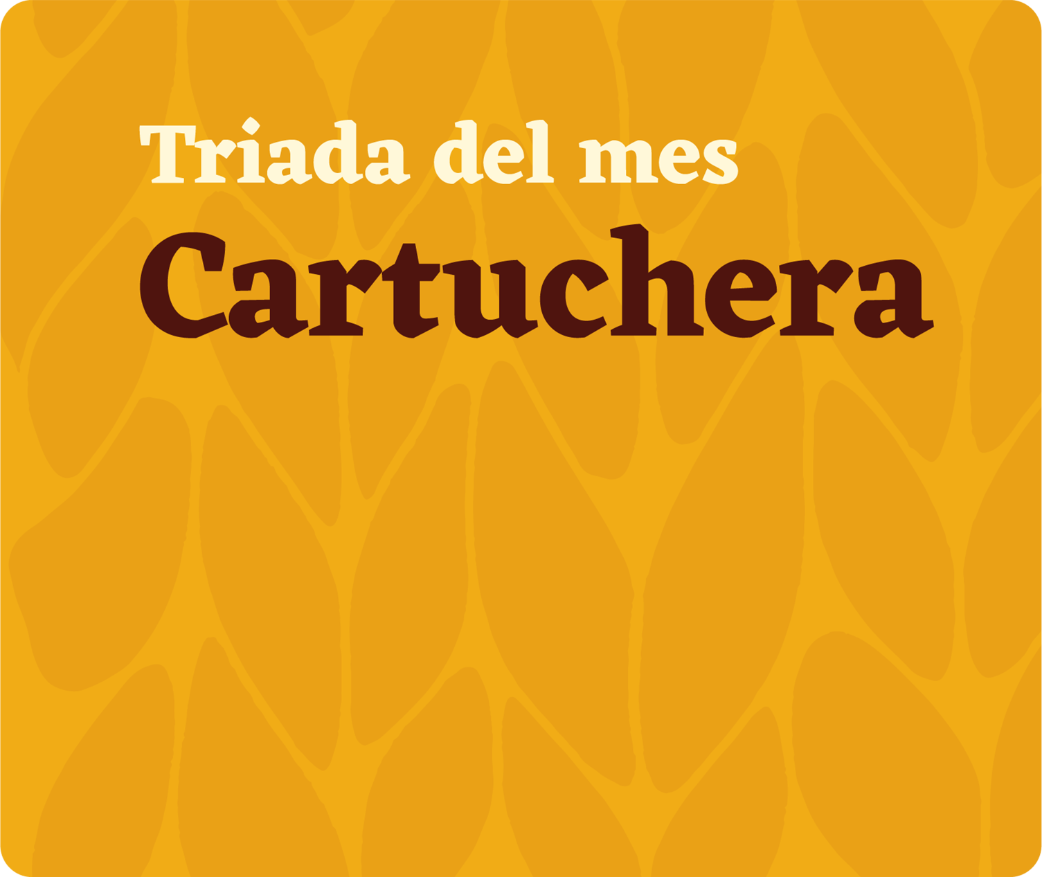 Cartuchera